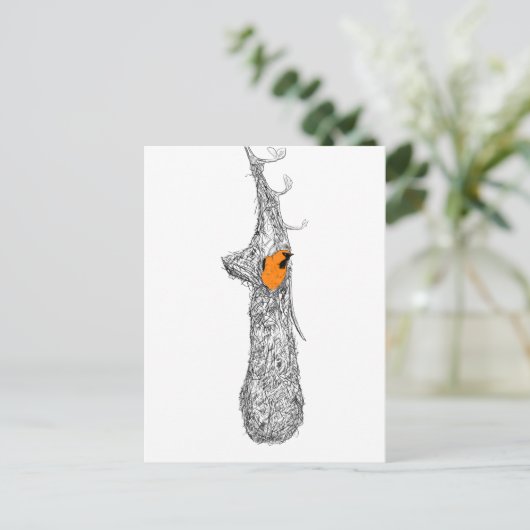 Carte Postale Nest Oriole (Debout devant)