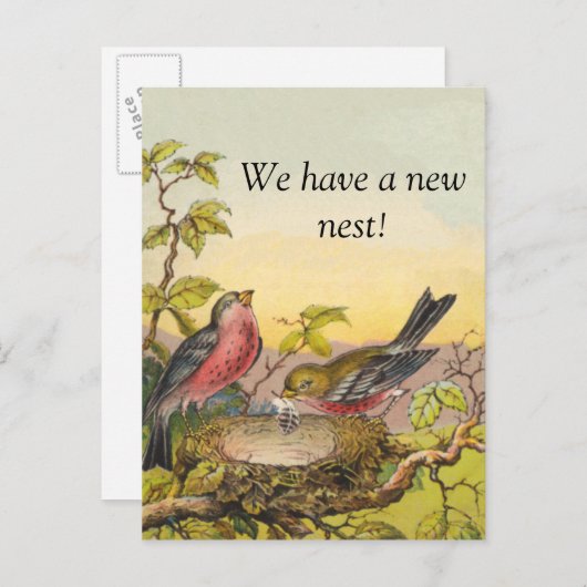 Carte postale Nesting Birds New Address (Devant / Derrière)
