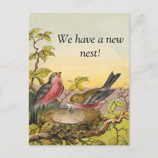 Carte postale Nesting Birds New Address (Devant)