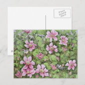 Carte Postale Nesting in Clematis (Devant / Derrière)