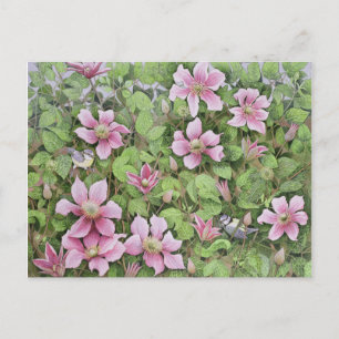 Carte Postale Nesting in Clematis