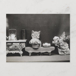 Carte Postale Nettoyer la théière