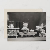 Carte Postale Nettoyer la théière (Devant / Derrière)