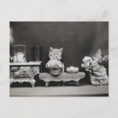 Carte Postale Nettoyer la théière (Devant)