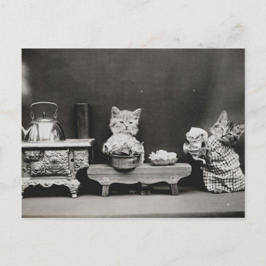 Carte Postale Nettoyer la théière (Devant)