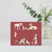 Carte Postale Neuf Chiens (Debout devant)