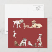 Carte Postale Neuf Chiens (Devant / Derrière)