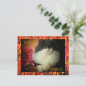 Carte Postale Neuf vit kitty avec la bordure de la feuille d'aut (Debout devant)