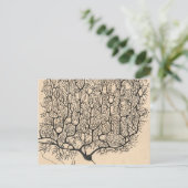 Carte Postale Neuron Drawing By Santiago Ramón Y Cajal (Debout devant)