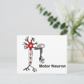 Carte Postale Neuron moteur (Debout devant)