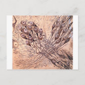 Carte Postale Neurones de Cajal 1 (Devant)