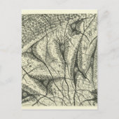 Carte Postale Neurons de Cajal 4 (Devant)