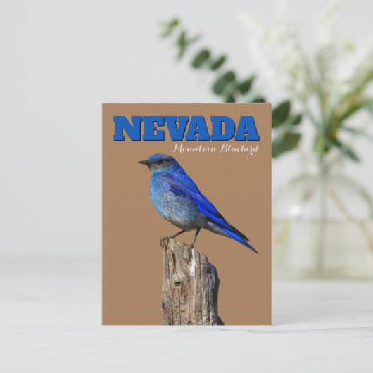 Carte Postale Nevada Bluebird vertical (Debout devant)