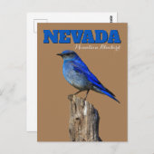 Carte Postale Nevada Bluebird vertical (Devant / Derrière)