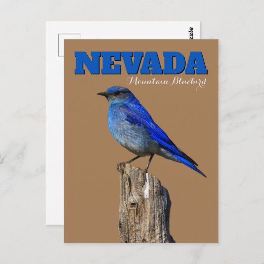 Carte Postale Nevada Bluebird vertical (Devant / Derrière)