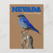 Carte Postale Nevada Bluebird vertical (Devant)