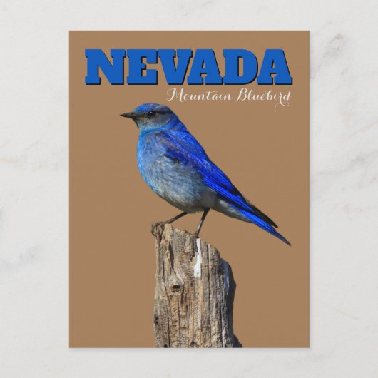 Carte Postale Nevada Bluebird vertical (Devant)