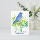 Carte Postale Nevada State Bird Mountain Bluebird (Debout devant)