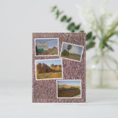 Carte Postale Nevada - Vallée du feu - Collage du désert (Debout devant)