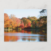 Carte postale New England Autumn Pond (Devant)