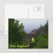 Carte postale New England Dreamer (Devant / Derrière)