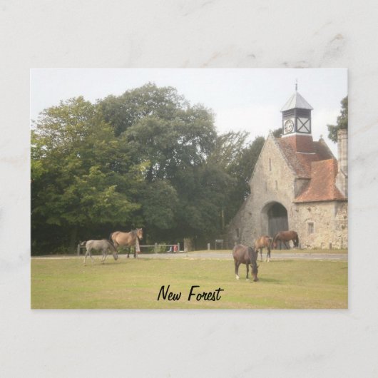 Carte Postale New Forest Hampshire (Devant)