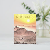 Carte Postale New Forest Pony à Sunrise (Debout devant)