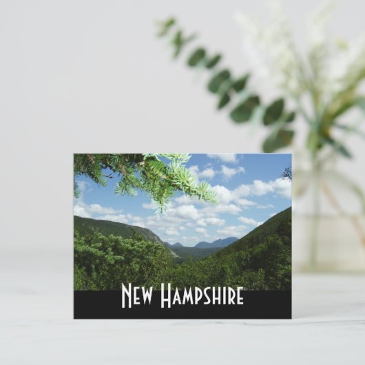 Carte Postale New Hampshire (Debout devant)