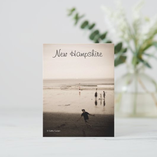 Carte Postale New Hampshire (Debout devant)