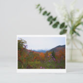 Carte Postale New Hampshire (Debout devant)