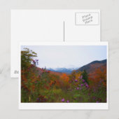 Carte Postale New Hampshire (Devant / Derrière)