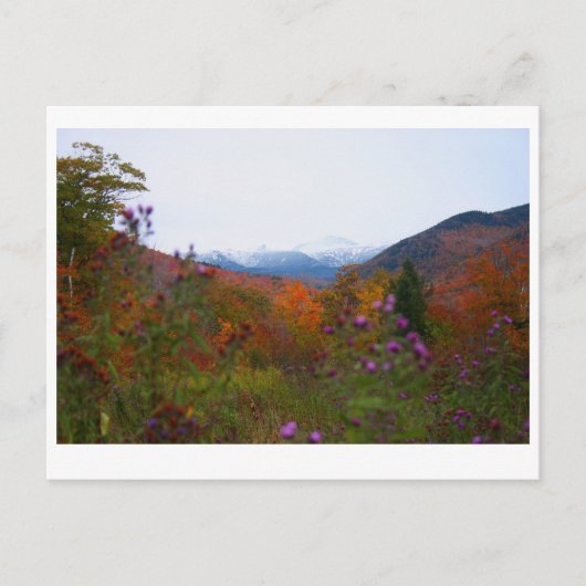 Carte Postale New Hampshire (Devant)