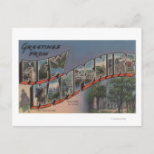 Carte Postale New Hampshire (Capitale d'Etat/Fleur) (Devant)