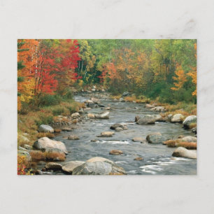 Carte Postale New Hampshire Fall