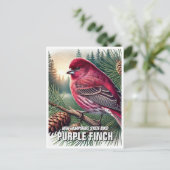 Carte Postale New Hampshire State Bird Purple Finch (Debout devant)