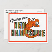 Carte Postale New Hampshire State Symbol Red Spotted Newt Stripe (Devant / Derrière)