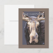 Carte Postale New HampshireMoose près (Devant / Derrière)