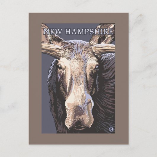 Carte Postale New HampshireMoose près (Devant)