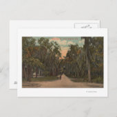 Carte Postale New Smyrna, Floride - Vue sur Magnolia (Devant / Derrière)