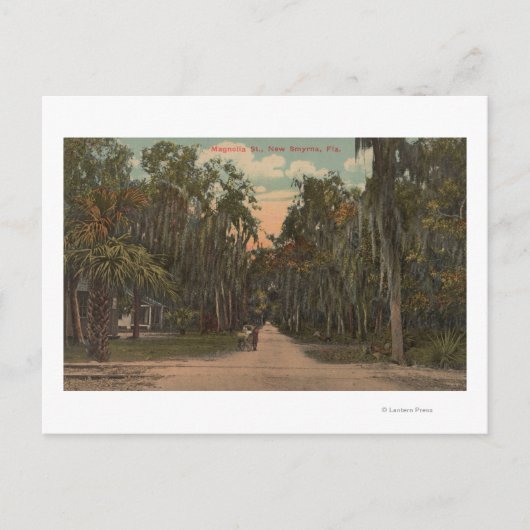 Carte Postale New Smyrna, Floride - Vue sur Magnolia (Devant)
