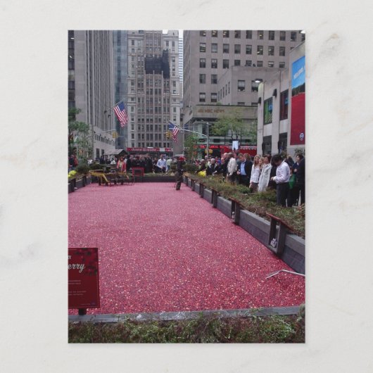 CARTE POSTALE NEW YORK (Devant)