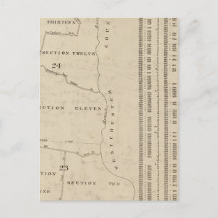 Carte Postale New York 11