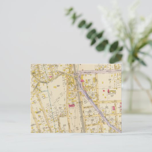 Carte Postale New York 21 (Debout devant)