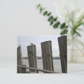 Carte Postale New York - Battery Park (Debout devant)