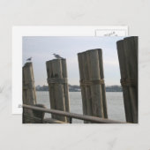 Carte Postale New York - Battery Park (Devant / Derrière)