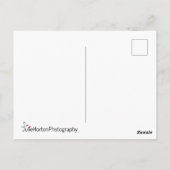 Carte Postale New York City Central Park South (Dos)