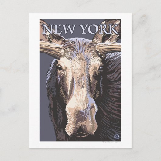 Carte Postale New YorkMoose de près (Devant)