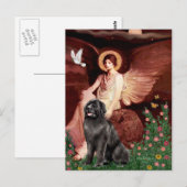 Carte Postale Newfie 2 - Ange assis (Devant / Derrière)
