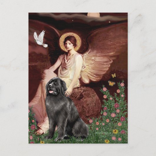 Carte Postale Newfie 2 - Ange assis (Devant)