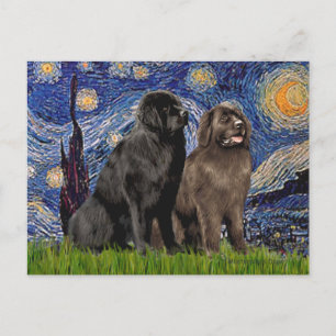 Carte Postale Newfie Pair - Nuit étoilée